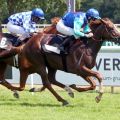 Die 18,6:1-Chance Quebueno (Adlerflug) gewinnt mit Jozef Bojko vor Nordstrand (Eduardo Pedroza). ©galoppfoto - Sabine Brose