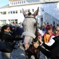 Der Überraschungssieger im BBAG-Auktionsrennen: Royal Flag mit Jockey Rene Piechulek, Anika Seiler am Führzügel und Claudia Lüdecke in Vertretung von Trainer Christian von der Recke, der auf der Auktion in Doncaster war. Foto: Dr. Jens Fuchs 