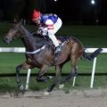 Smudo gewinnt beim Dortmund-Debüt im Handgalopp. www.galoppfoto.de - Stephanie Gruttmann