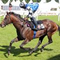 Überzeugend: Protectionist mit Eduardo Pedroza gewinnt den pferdewetten.de Hansa Preis. www.galoppfoto.de - Sabine Brose