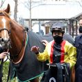 "Einer meiner besten Dreijährigen", sagte Trainer Marcel Weiß schon vor dem Rennen: Der Auenqueller Vallando ließ diesen Wort mit Lukas Delozier im Sattel Taten folgen. www.galoppfoto.de - Sandra Schering 