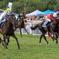 Vatenko gewinnt unter Rene Piechulek das zum zweiten Mal in Bad Harzburg ausgetragene BBAG-Auktionsrennen. www.galoppfoto.de