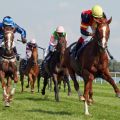 Leicht gewinnt der Wiesenpfad-Sohn Zidar im Dreijährigen-Maiden in Iffezheim. www.galoppfoto.de - Sabine Brose