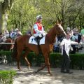 Deutscher Hoffnungsträger Acadius in Düsseldorf Foto: Gabriele Suhr