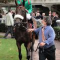 Sarafina mit Christophe Lemaire vor dem Prix Foy Foto: Turf Aktuell