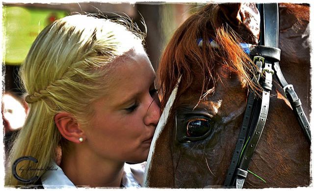 Verdiente Belohnung für den Dashing Blade-Sohn Sirius. Foto: Horse & More by Beatrice Ehlert 