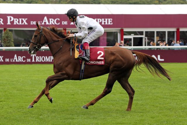 Ribbons, hier unter Frankie Dettori. www.galoppfoto.de - Sabine Brose