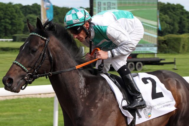 Werden Träume wahr? Dragon Lips besitzt eine Nennung für die St James's Palace Stakes am Dienstag. www.galoppfoto.de - Sandra Scherning