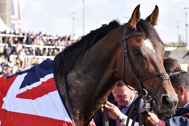 Die Vintage Crop Stakes am Sonntag sind das erste Ziel für Order of St George. www.galoppfoto.de - John James Clark