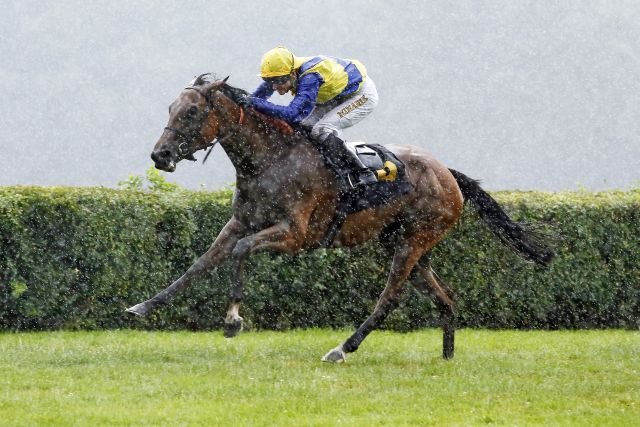 Winning in the rain: Well Timed. www.galoppfoto.de - Sabine Brose