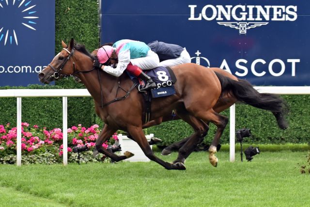 Enable, hier bei ihrem Sieg 2019, gewann die "King George" gleich dreimal. www.galoppfoto.de - JJ Clark