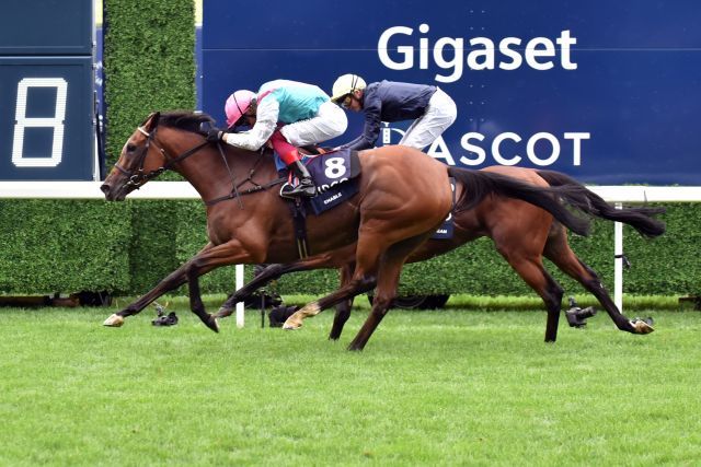 So war's 2019: Enable siegt in der "King George" vor Crystal Ocean. www.galoppfoto.de - John James Clark