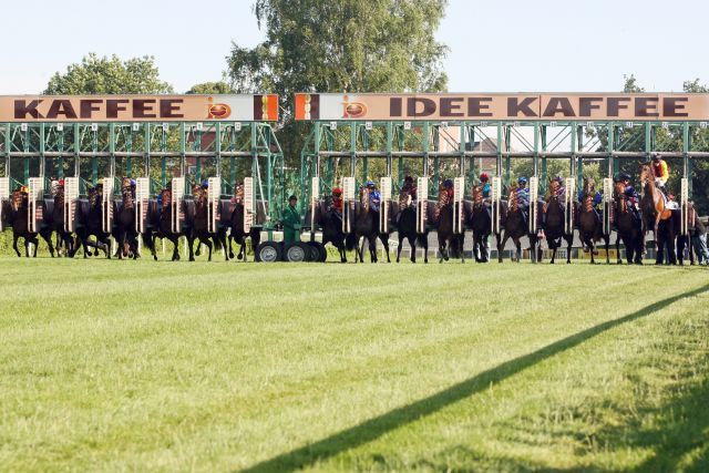 Die Startbox ist beim 141. Derby wohl bis auf den letzten Platz gefüllt. www.galoppfoto.de