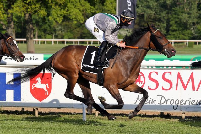 Durance versucht sich auf höchstem Parkett im Prix Jean Romanet. www.galoppfoto.de - Sabine Brose