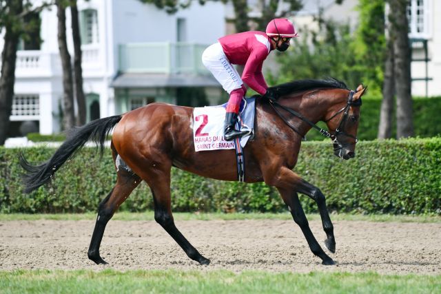 Der Prix du Jockey-Club Sieger Mishriff könnte der stärkste Europäer im Saudi Cup sein. www.galoppfoto.de - John James Clark