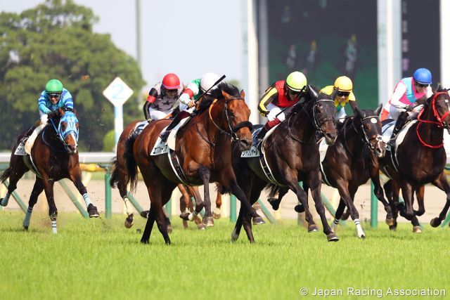 Der Deep Impact-Sohn Shahryar holt sich das Japanische Derby. Foto: JRA