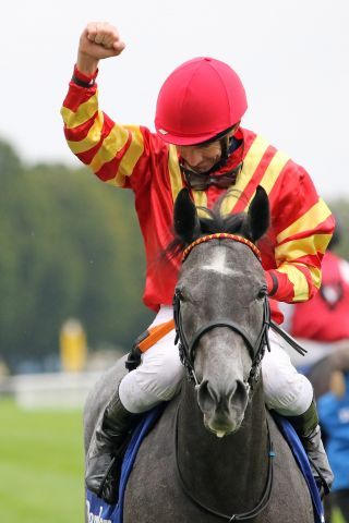 Best Flying versucht sich am Freitag im Prix Eclipse. www.galoppfoto.de - Frank Sorge