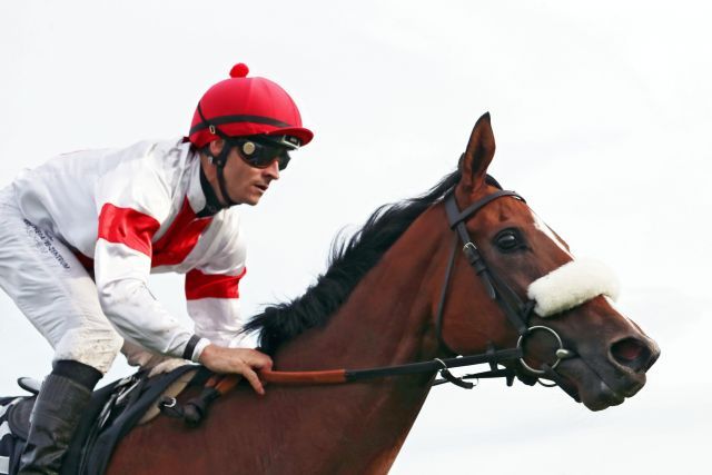 India hat Baden ausgelassen und könnte nun im Prix Corrida starten. www.agloppfoto.de - Frank Sorge