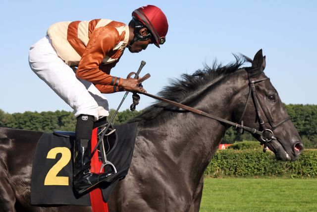 Rock of Romance entschied das italienische St Leger vor Salut für sich. Foto: www.galoppfoto.de - Joerg Sorge