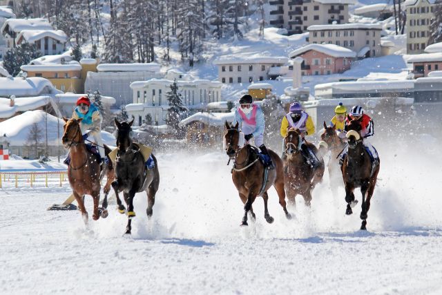 Schnegestöber: Der große Preis von St. Moritz wird am Sonntag mit deutscher Beteiligung ausgetragen. www.galoppfoto.de - WiebkeArt