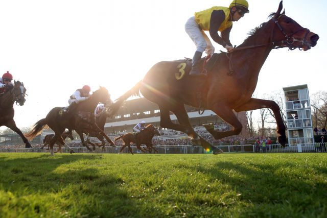 Quaduna war im Vanjura-Rennen die erste Black Type-Siegerin der Saison (15 Minuten vor Night Wish' Sieg im Grand Prix Aufgalopp). www.galoppfoto.de - Frank Sorge