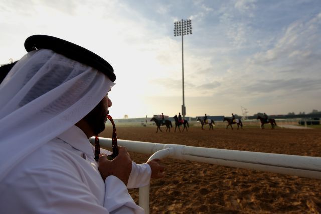 Foto der Woche: Der Sandkasten der Scheichs ... auf der Rennbahn Meydan geht es beim Dubai World Cup-Day um fast 30 Millionen US-Dollar. Foto: Peter Heinzmann