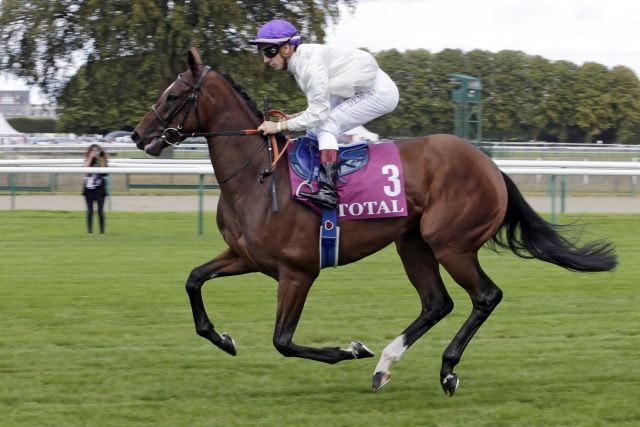 Normandel gewann die letzte Auflage der Park Express Stakes. www.galoppfoto.de - Frank Sorge