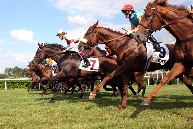 Kommt das Derbyfeld 2012 erst am 08. Juli an den Start. www.galoppfoto.de 