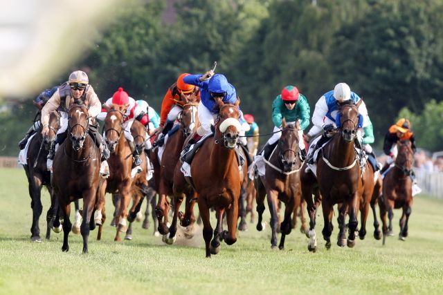 Wer qualifiziert sich für das Derby 2011 - hier das Derbyfeld des Vorjahres mit dem späteren Sieger Buzzword (blauer Dress) in der Bildmitte. www.galoppfoto.de