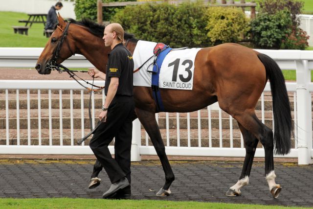 Tres Rock Danon (hier vor seinem Start in Saint-Cloud vor drei Wochen) endet als bester Deutscher auf Rang 6 im Prix Royal-Oak Foto: www.galoppfoto.de