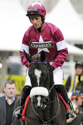 Errang seinen zweiten Gr. I-Sieg: Don Cossack. Cheltenham ist das nächste Ziel. Foto (Archiv): www.galoppfoto.de - John James Clark