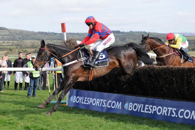 Sprinter Sacre bei seinem Sieg in der Champion Chase 2013 im irischen Punchestown. www.galoppfoto.de - Jim Clark