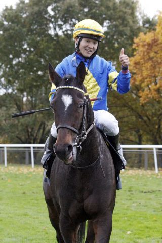 Wonnemond und auch Diplomat sollen in der International Topkapi Trophy laufen. www. galoppfoto.de - Sabine Brose