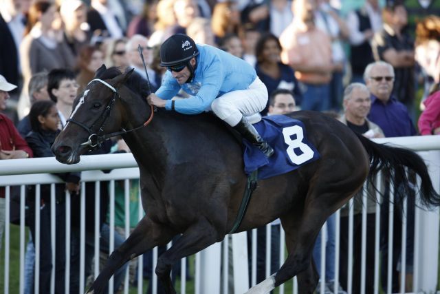 Elle Shadow startet als Siegerin im Belmondo-Preis (ehem. Fürstenberg-Rennen) nun im Prix l'Opera, Gr. I, beim Arc-Meeting. www.baden-racing.com