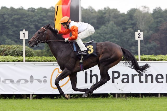 Fine Emotion mit Viktor Schulepov sorgte für den 1000. Treffer für Trainer Hans-Jürgen Gröschel in Hoppegarten. www.hoppegarten.com - Sorge