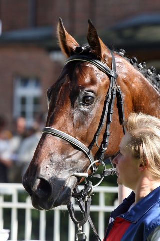 Gereon nach seinem Sieg in Hoppegarten mit seiner Betreuerin Helena Hryniewiecka im Portrait. www.galoppfoto.de