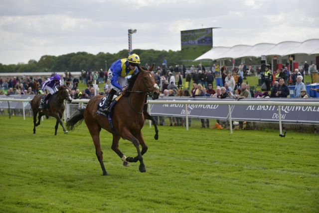 Desert Crown überzeugt in den Dante Stakes. www.galoppfoto.de - JJ Clark