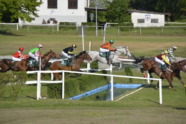 Der Hindernissport wird in Mannheim wieder ganz groß geschrieben. www.badischer-rennverein.de