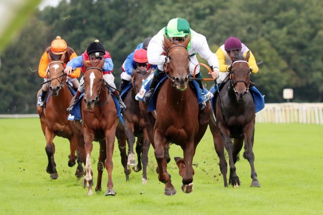 Mercedes gewinnt mit Altmeister John F. Egan im Sattel für Trainer Roland Dzubasz und das Gestüt Görlsdorf den Große Preis der VGH Versicherungen. ©galoppfoto - Frank Sorge