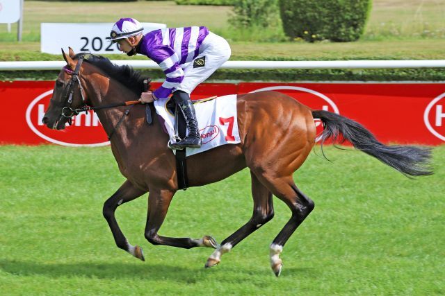  Quello mit Lukas Delozier beim Aufgalopp im 2yo-Maiden in Düsseldorf. ©galoppfoto - Stephanie Gruttmann