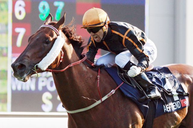 Able Friend mit Joao Moreira beim Sieg in der Hong Kong Mile im Dezember. www.galoppfoto.de - Frank Sorge