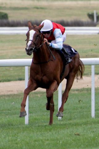 Acadius - hier noch überlegener Sieger im Oppenheim-Rennen - startet nicht im Derby, weil die Distanz für ihn zu weit ist. www.klatuso.com