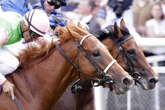 Das 147. Deutsche Derby, in dem Isfahan (vorne) vor Savoir Vivre und Dschingis Secret (hinten) ins Ziel kam, wird zur juristischen Zerreißprobe. www.galoppfoto.de