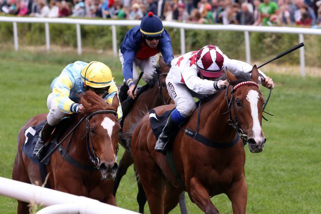 Die Lord of England-Tochter Al Queena (links) gewinnt mit Michael Cadeddu in Dresden. www.galoppfoto.de - Frank Sorge