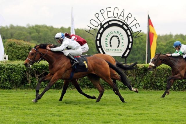 Altano - der neue deutsche Steherkönig. www.hoppegarten.com - Sorge