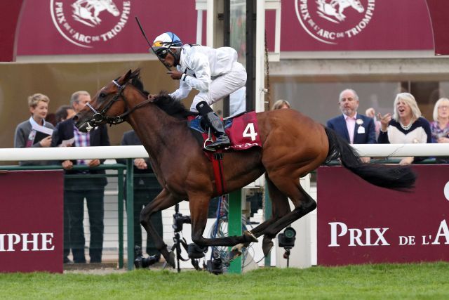 Altano mit Eduardo Pedroza bei seinem Sieg im Qatar Prix du Cadran in Longchamp, Gr. I. www.galoppfoto.de - Frank Sorge