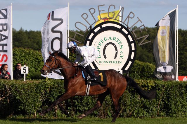 Altano gewinnt das Oleander-Rennen mit Eduardo Pedroza zum dritten Mal in Folge. www.galoppfoto.de  - Sabine Brose