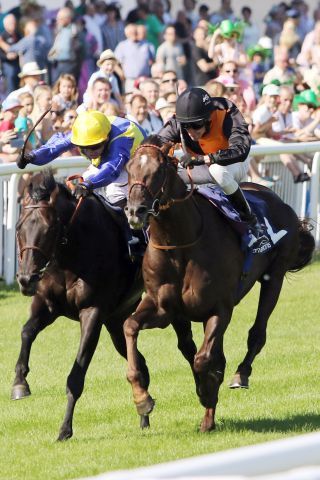 Amaron (rechts) mit Andrasch Starke gewinnt die Badener Meile. www.galoppfoto.de - Sarah Bauer