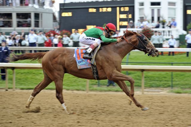 Animal Kingdom (John Velazquez) gewinnt das 137. Kentucky Derby. Foto www.galoppfoto.de - Peo Ploff