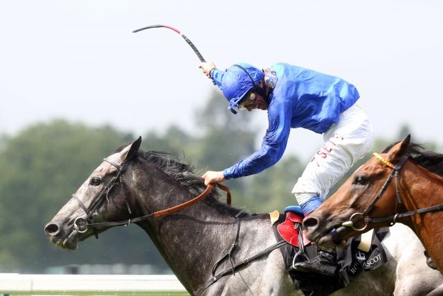  "Steher des Jahres" in England: Colour Vision aus der Hilgert-Zucht  - hier mit Frankie Dettori als Sieger im Gold Cup. www.galoppfoto.de - Frank Sorge